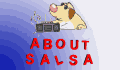 About salsa